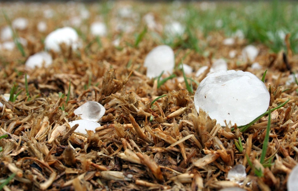 Some large hailstones laying on the ground
