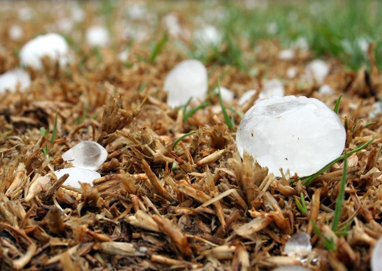 Some large hailstones laying on the ground